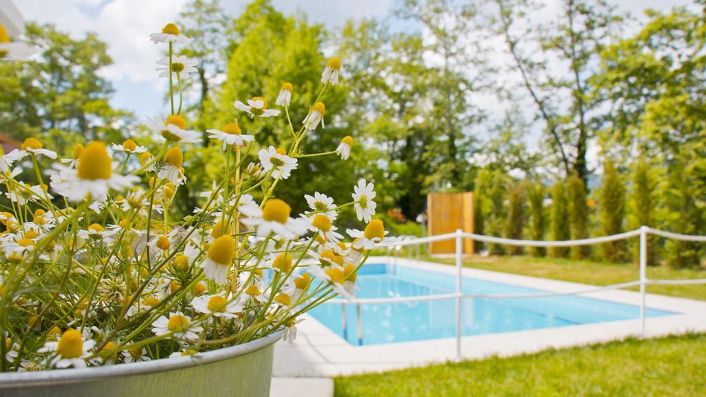 Aristotelia Gi Ikies - Olympiada Poolside Retreats Kültér fotó