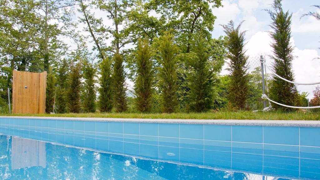 Aristotelia Gi Ikies - Olympiada Poolside Retreats Kültér fotó